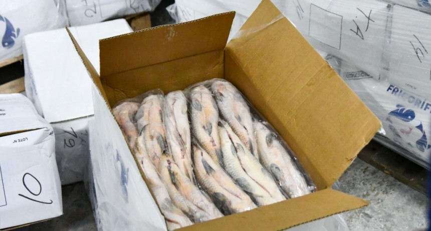 Para evitar el colapso ecológico, Provincia suspenderá por un año el acopio de pescado para exportación