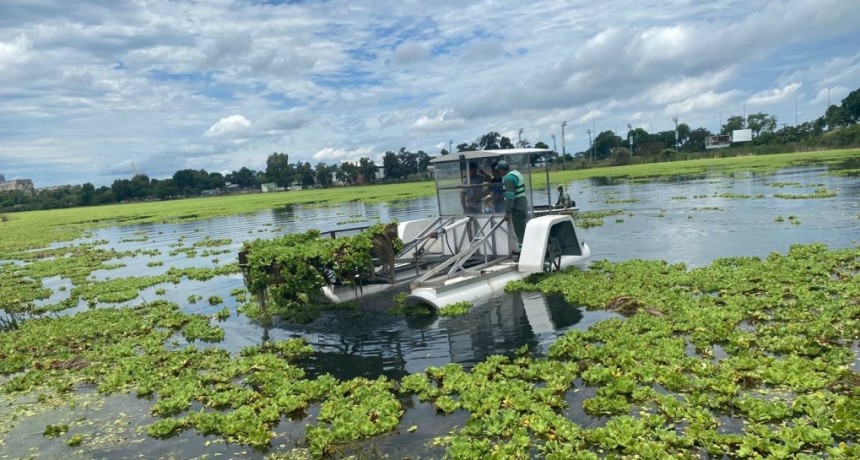 Santa Fe: comenz&oacute; a trabajar la cosechadora acu&aacute;tica en el lago del Parque Sur para retirar los repollitos de agua