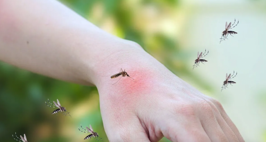 Dengue: Santa Fe sum&oacute; 9 casos m&aacute;s en toda la provincia