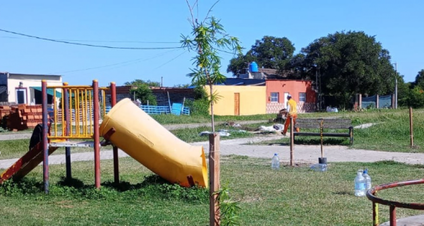 Sauce Viejo: contin&uacute;a el plan de forestaci&oacute;n para embellecer la ciudad