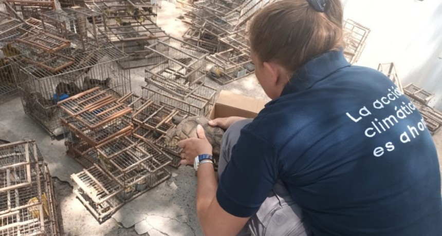 Provincia rescat&oacute; animales en cautiverio que iban a ser vendidos de manera ilegal