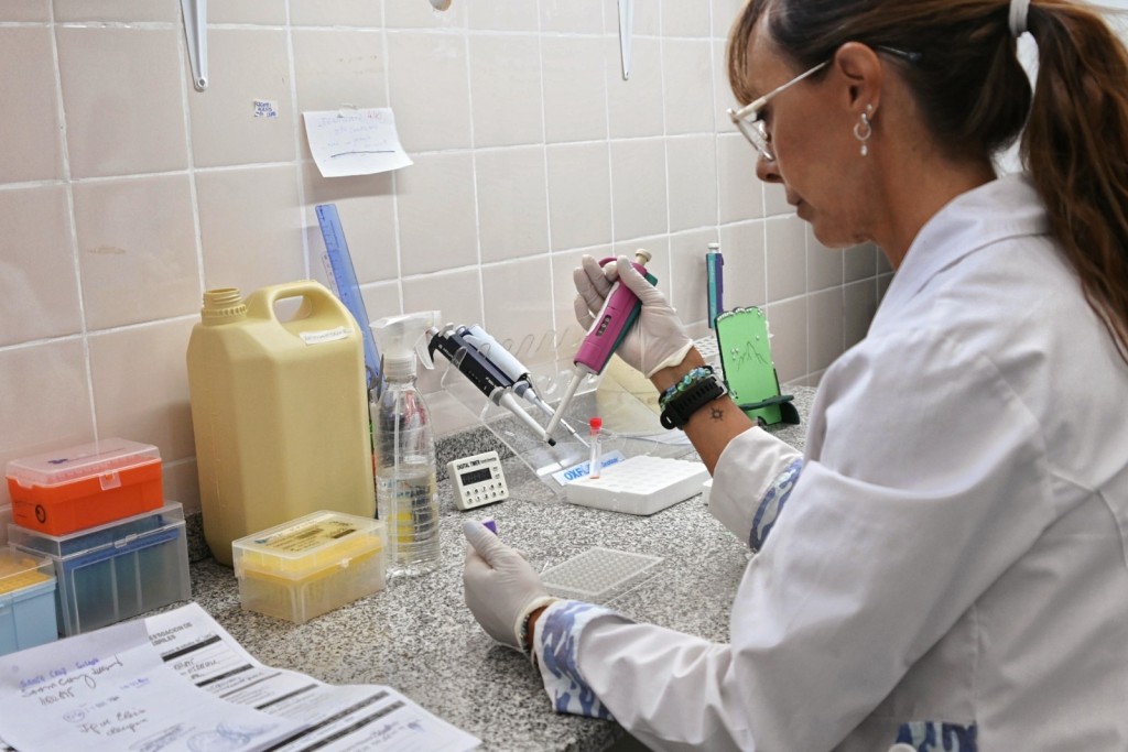 Con 50% más de insumos y en red: así trabajan los laboratorios de la Provincia de Santa Fe para la detección del dengue