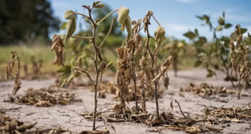 Provincia extiende plazos para tramitar emergencia agropecuaria