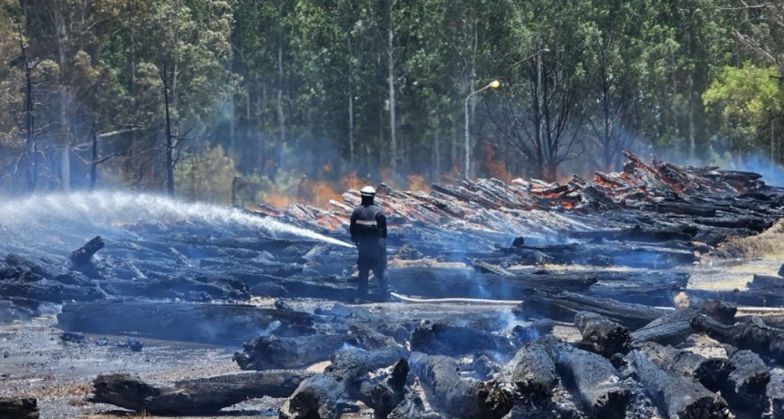 Brigadistas santafesinos lograron controlar voraz incendio en Capit&aacute;n Berm&uacute;dez