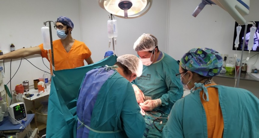 En un fin de semana hubo tres donaciones de &oacute;rganos en Santa Fe