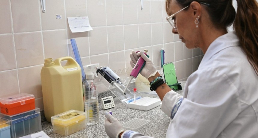Con 50% m&aacute;s de insumos y en red: as&iacute; trabajan los laboratorios de la Provincia de Santa Fe para la detecci&oacute;n del dengue