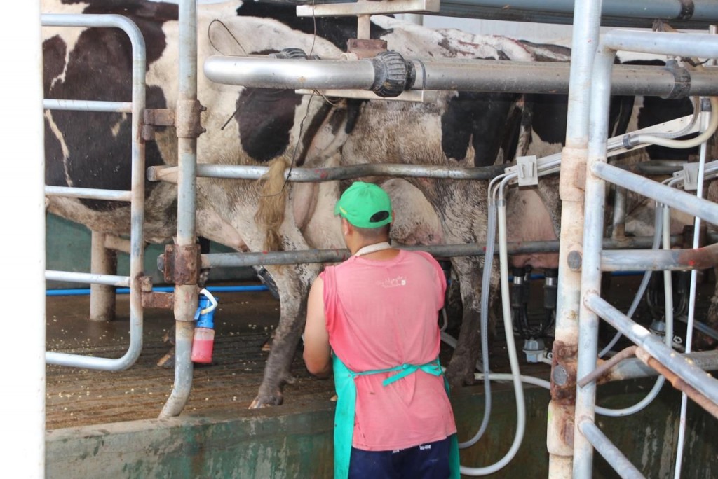 Santa Fe lidera las exportaciones lácteas y consolida el crecimiento del sector