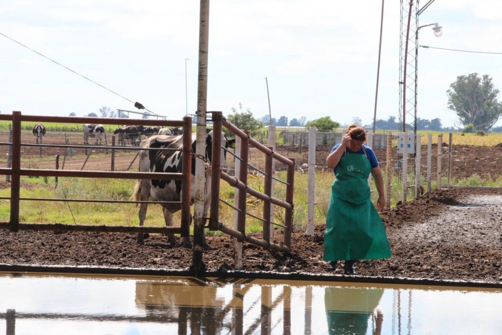 Santa Fe prorrogó la emergencia agropecuaria por sequía en el norte provincial