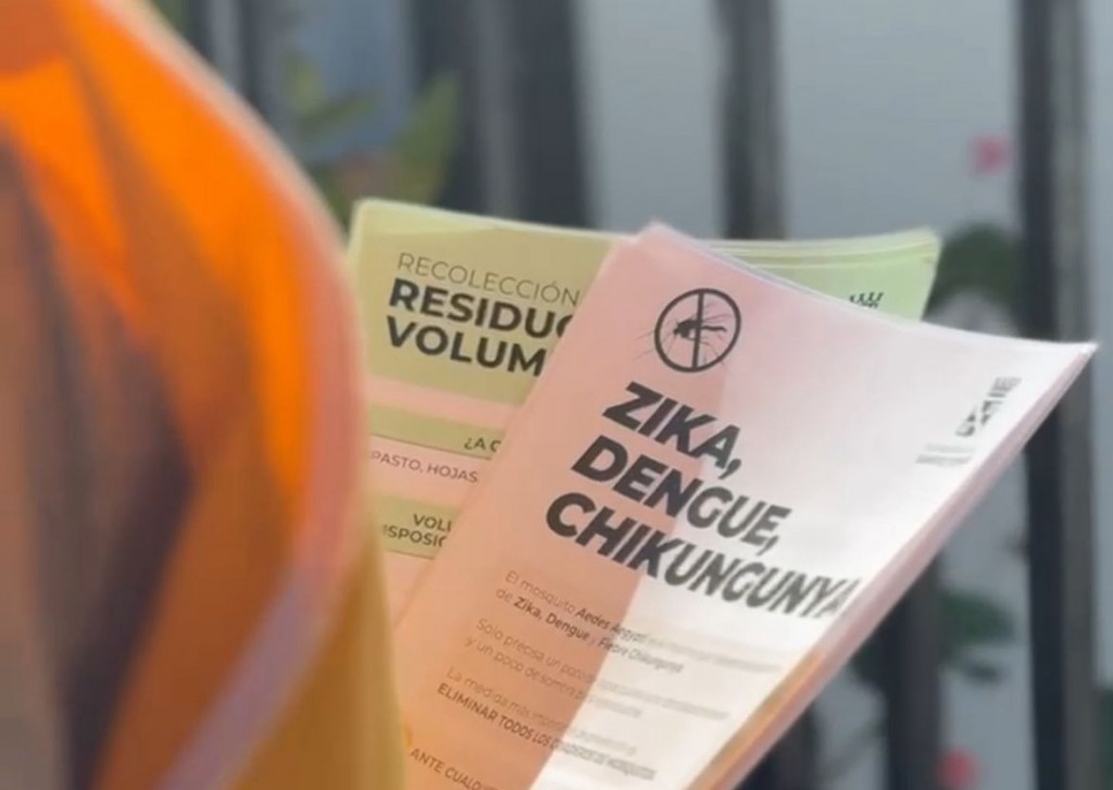 Día Internacional de la Educación Ambiental: Santo Tomé fortalece acciones territoriales de concientización y prevención 