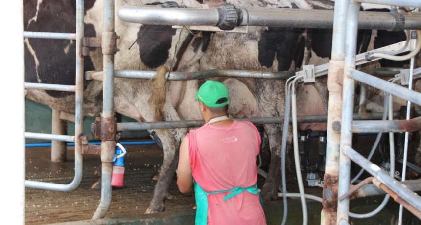 Santa Fe lidera las exportaciones lácteas y consolida el crecimiento del sector