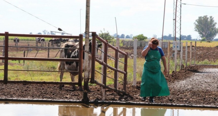Santa Fe prorrog&oacute; la emergencia agropecuaria por sequ&iacute;a en el norte provincial