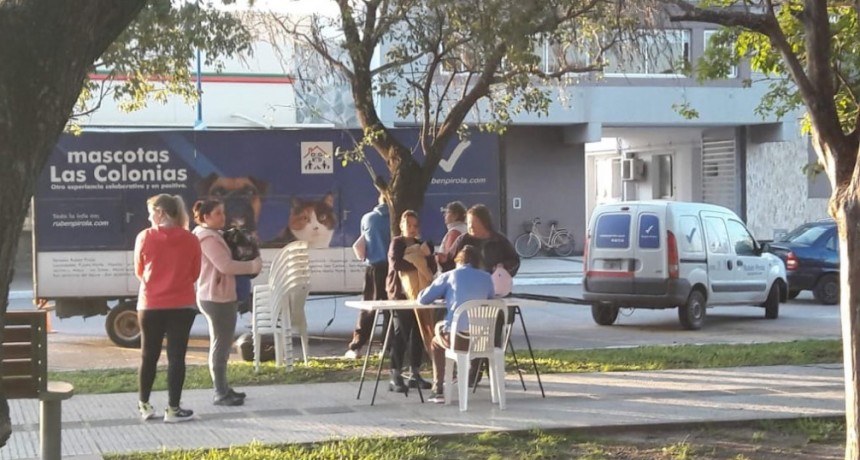 Con gran entusiasmo, el Senador Rub&eacute;n Pirola confirma un nuevo ciclo del programa Mascotas Las Colonias