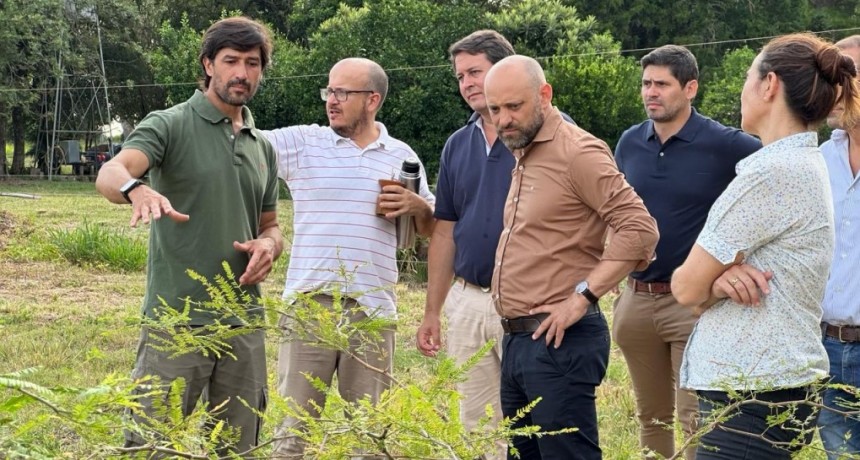 Puccini: &ldquo;La clave del desarrollo es la vinculaci&oacute;n entre ciencia, tecnolog&iacute;a y campo&rdquo;