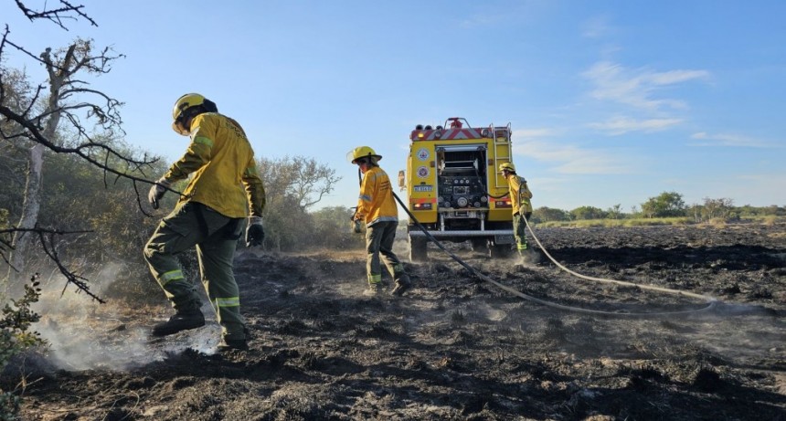 Brigadistas lograron apagar los incendios en Cacique Ariacaiqu&iacute;n