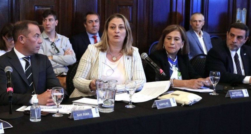La ministra Ciancio particip&oacute; del Primer Consejo Federal de Salud
