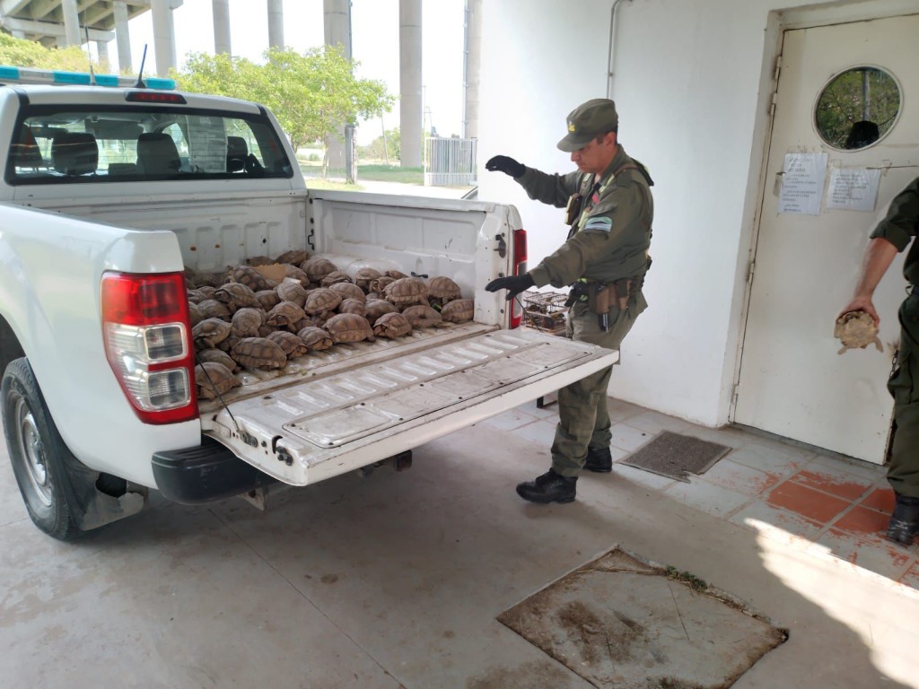 Santa Fe refuerza las sanciones por caza ilegal y delitos contra la fauna