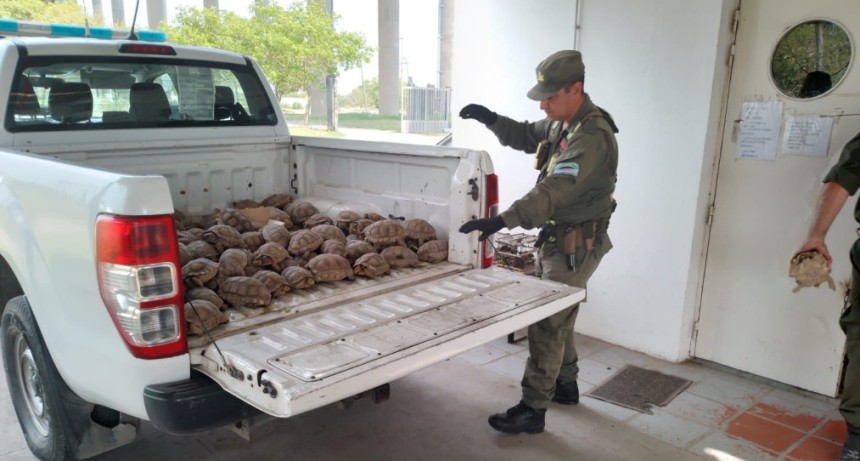 Santa Fe refuerza las sanciones por caza ilegal y delitos contra la fauna