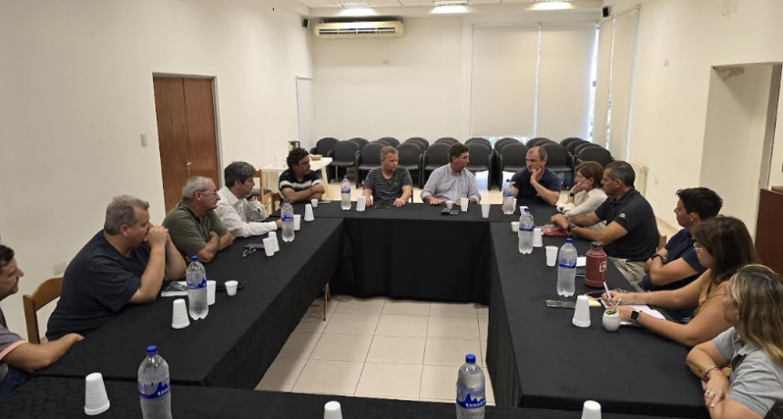 Pirola en CICAE: &ldquo;La reforma constitucional debe responder a las verdaderas necesidades de nuestro territorio&rdquo;