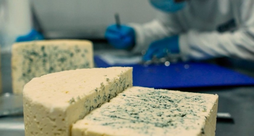 Santa Fe ya tiene la Ruta del Queso Azul, un producto de exportaci&oacute;n