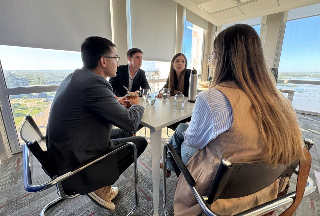 Provincia invierte $ 839 millones en el nuevo tendido el&eacute;ctrico de Villa A&ntilde;at&iacute;, en Rinc&oacute;n