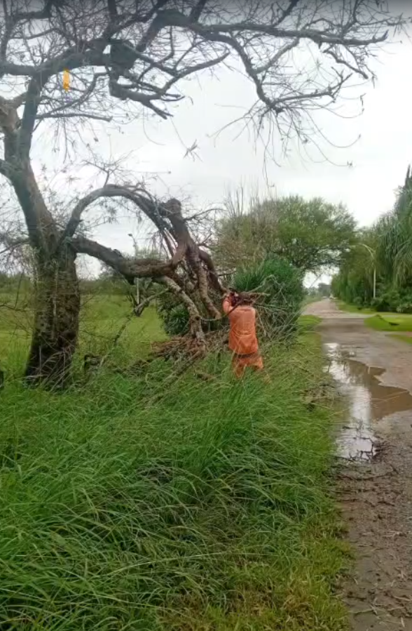 Sauce Viejo refuerza los operativos en la ciudad tras el fuerte temporal