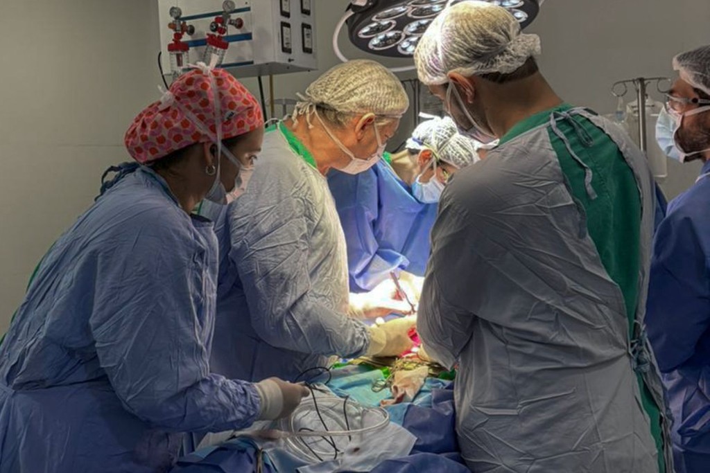 Cudaio: cuatro donaciones de &oacute;rganos en 72 horas en la Provincia de Santa Fe