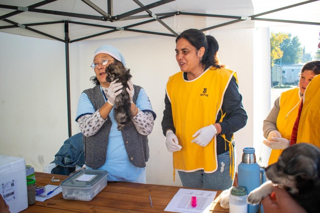 Santo Tom&eacute;: la Municipalidad realiz&oacute; un nuevo abordaje masivo de Protecci&oacute;n Animal en barrio Libertad