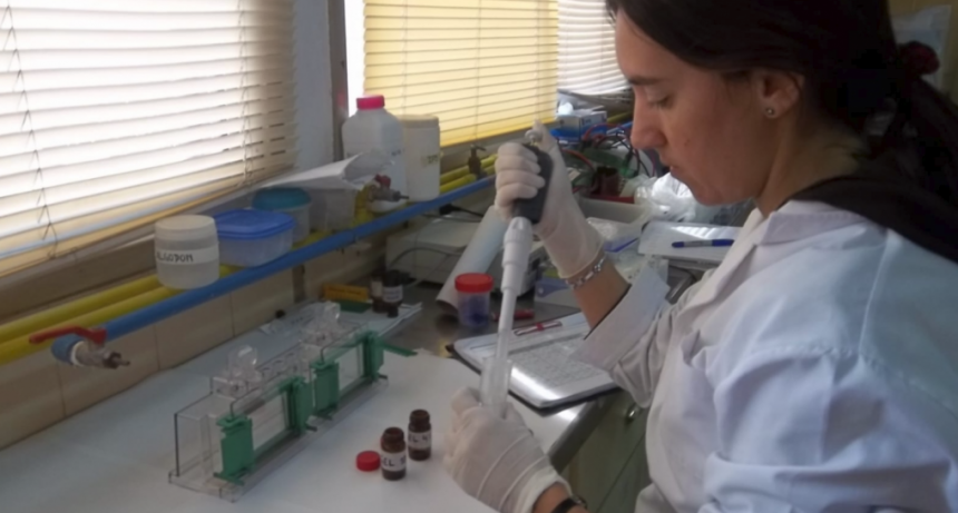 Cient&iacute;ficas santafesinas y un in&eacute;dito descubrimiento sobre el cannabis medicinal