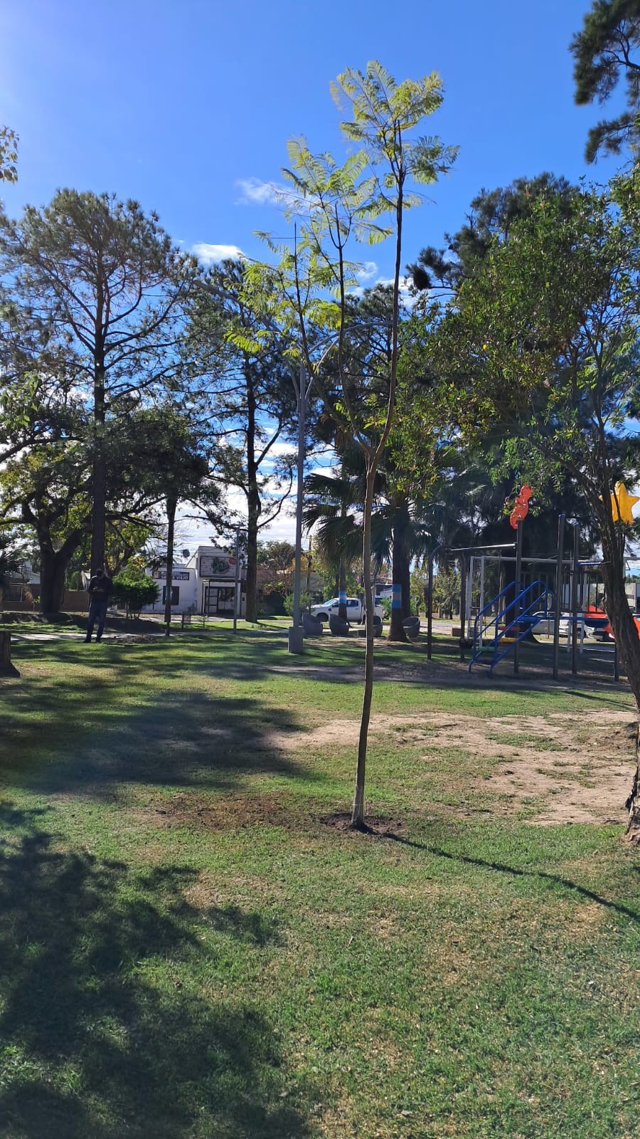 Intervención Ambiental en la Plaza Bernardino Rivadavia de Sauce Viejo