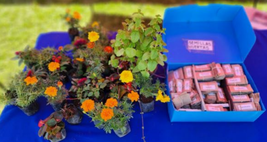 Eco Canje: Cronograma para el mes de mayo en Santo Tom&eacute;