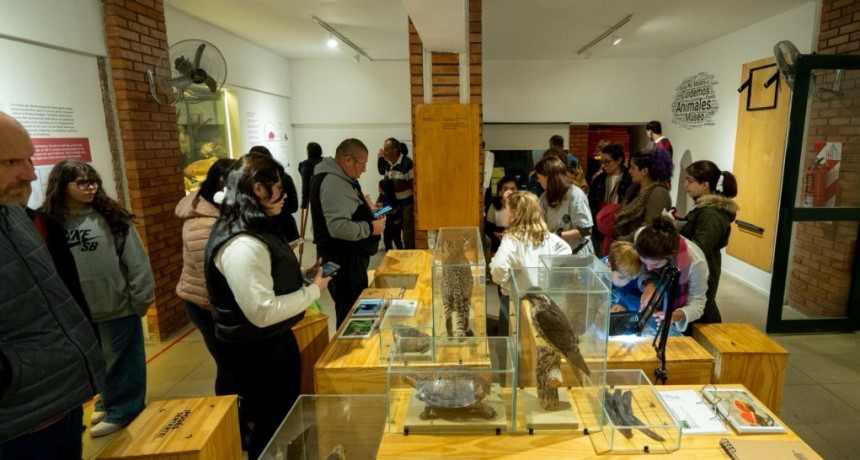 Provincia celebra el D&iacute;a Internacional de los Museos con m&uacute;ltiples propuestas
