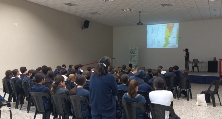 Alvizo solicit&oacute; precisiones sobre obras de ripiado y asfalto para Santo Tom&eacute;