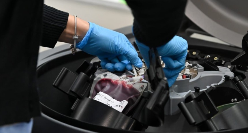 Hemoterapia: con inversi&oacute;n y m&aacute;s de 200 colectas al a&ntilde;o, Santa Fe consolida su modelo basado en la donaci&oacute;n voluntaria de sangre