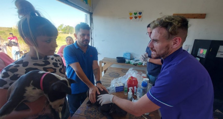 Castell&oacute; present&oacute; un proyecto para crear el hospital p&uacute;blico veterinario provincial
