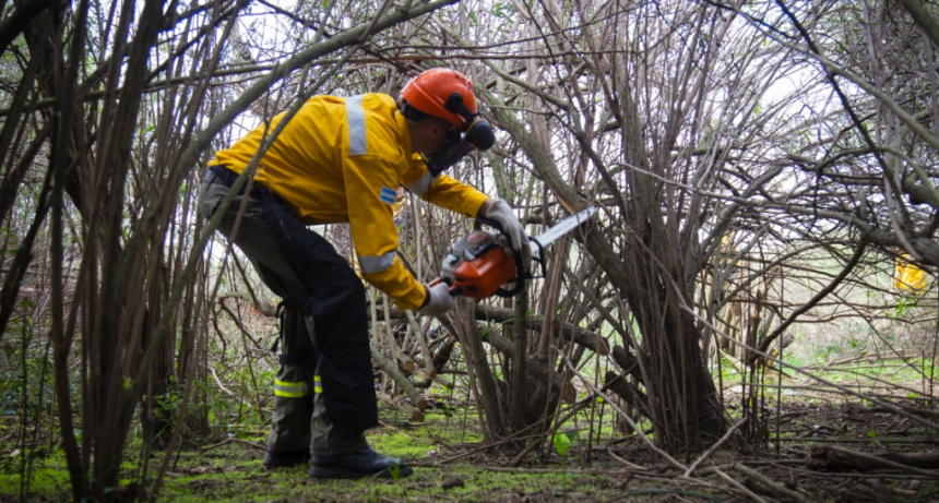 El Gobierno de Santa Fe contin&uacute;a desarrollando acciones para prevenir incendios en las islas del sur provincial