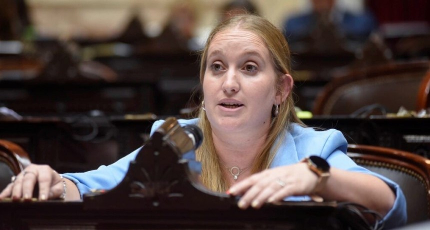 Tejeda: "La discapacidad deber&iacute;a ser una prioridad, pero nadie se ocupa"