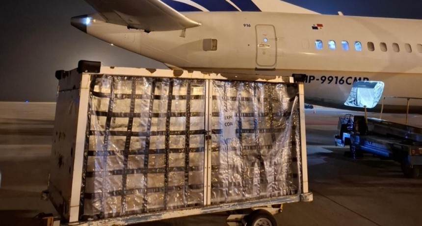 Desde Rosario ya se exporta carne y pescado por v&iacute;a a&eacute;rea: un hito log&iacute;stico que posiciona al aeropuerto como plataforma internacional