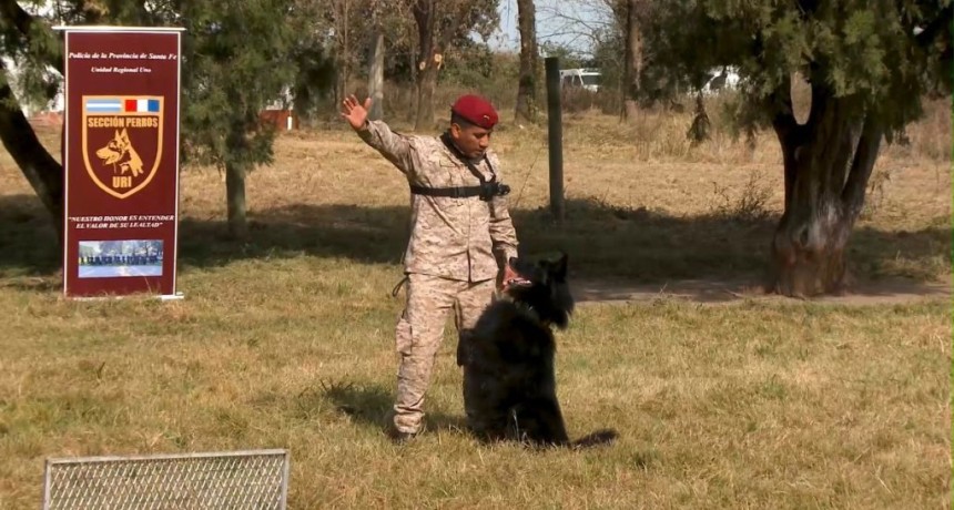 La Polic&iacute;a de Santa Fe realiz&oacute; el primer Curso Nacional de Gu&iacute;as de Canes de Seguridad