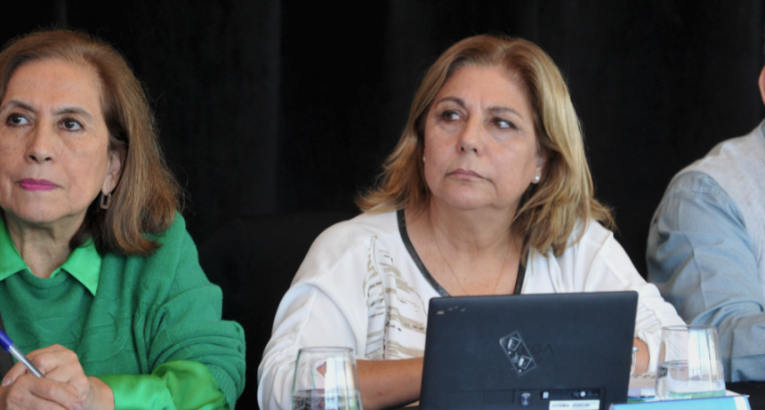 Martorano particip&oacute; del Consejo Federal de Salud