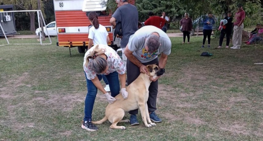"La Muni en tu Barrio": este mi&eacute;rcoles se realiza en barrio Jorge Newbery