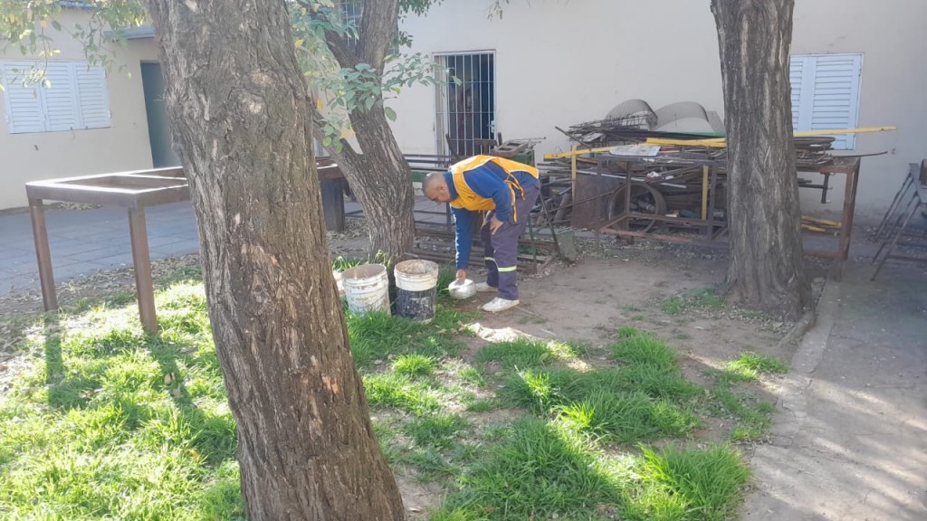La Municipalidad de Santo Tomé Refuerza la Prevención del Dengue con Operativos de Descacharrado y Eco Escuelas Durante el Receso Escolar