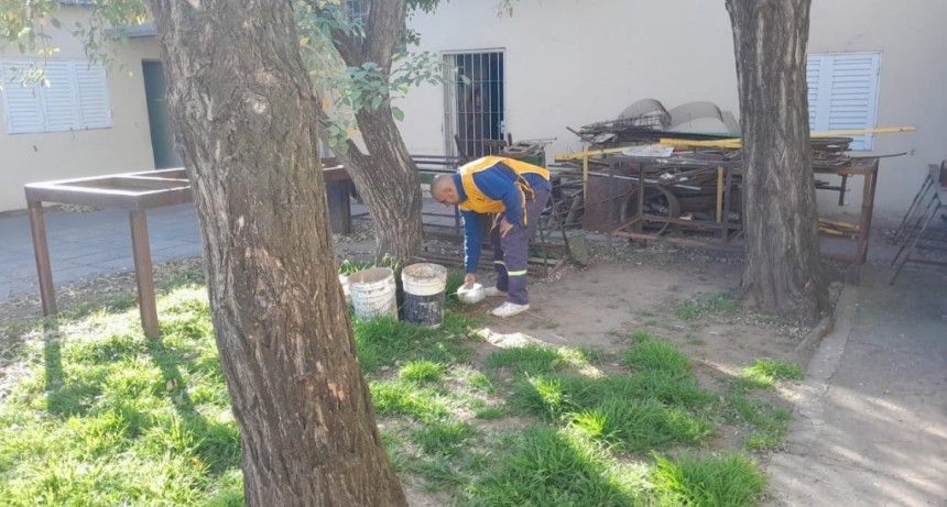 La Municipalidad de Santo Tom&eacute; Refuerza la Prevenci&oacute;n del Dengue con Operativos de Descacharrado y Eco Escuelas Durante el Receso Escolar