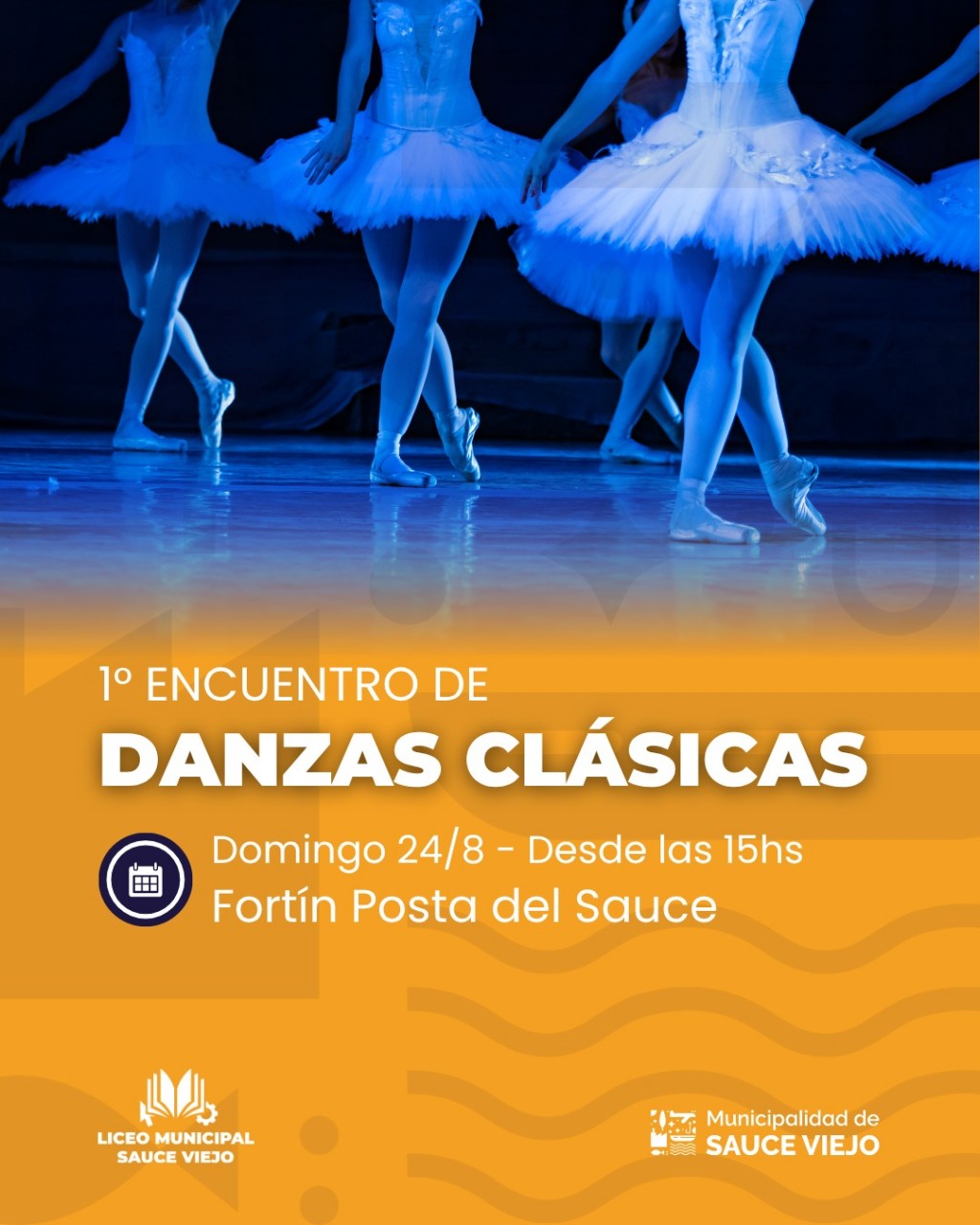 Sauce Viejo será sede del Primer Encuentro de Danzas Clásicas del Liceo Municipal