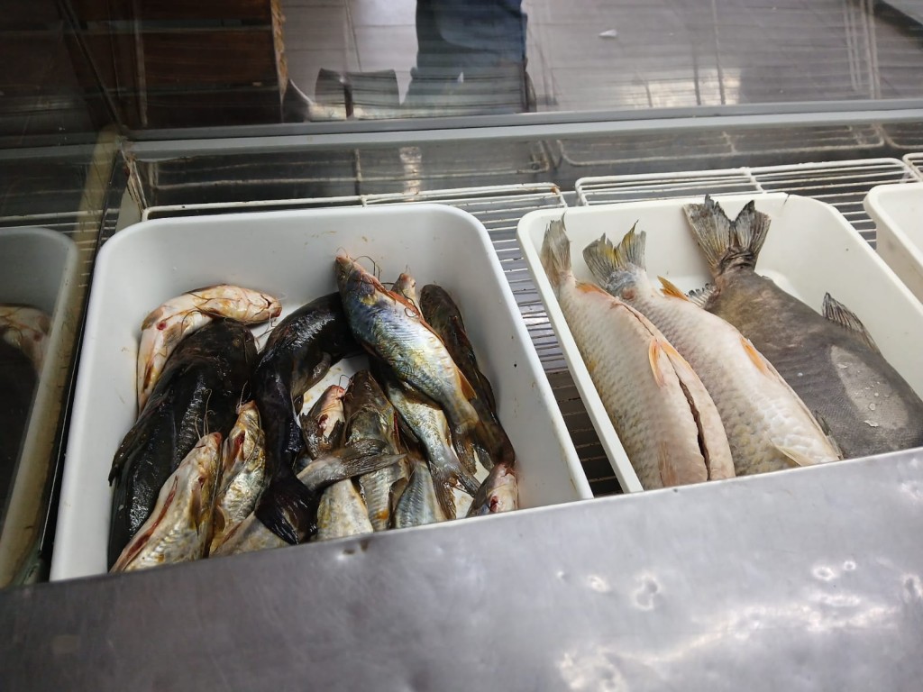Operativo especial en pescaderías de Santo Tomé