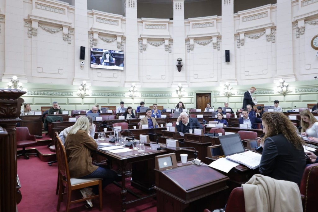 La Comisión de Declaraciones, Derechos y Garantías avanzó en el tratamiento de artículos clave de la Constitución