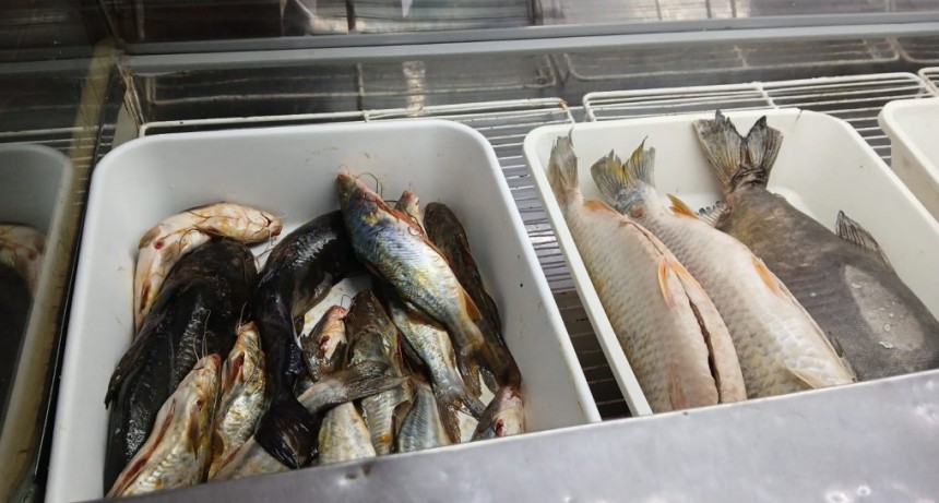 Operativo especial en pescader&iacute;as de Santo Tom&eacute;