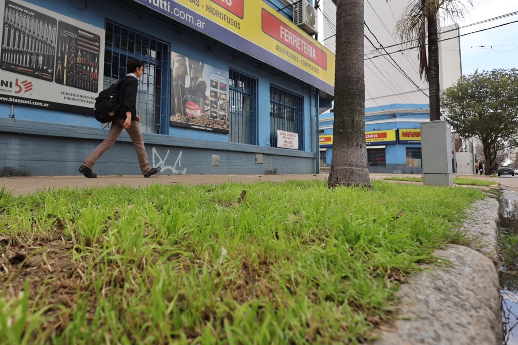 Habilitan a comercios a utilizar la cinta verde para colocar carteler&iacute;a