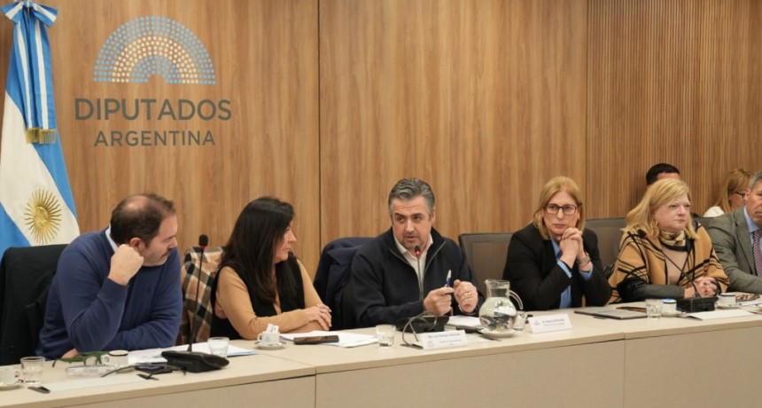 Santa Fe impulsa en el Congreso una ley para ampliar las competencias provinciales contra el microtr&aacute;fico