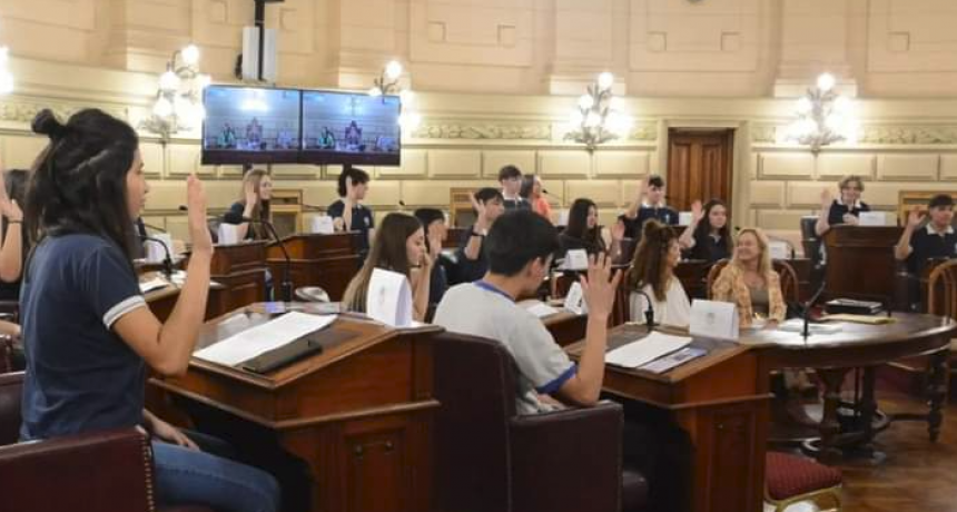 Borla solicita la creaci&oacute;n de un espacio de acompa&ntilde;amiento de problem&aacute;ticas de adolescentes en escuelas secundarias y t&eacute;cnicas
