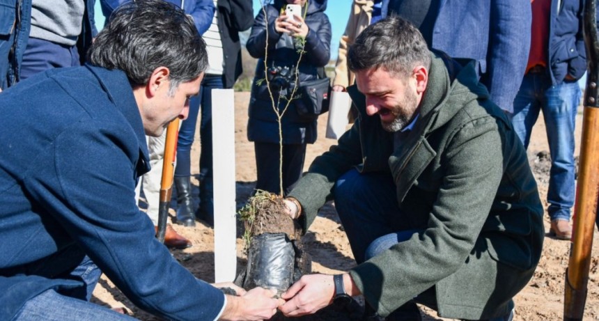 Se plantaron m&aacute;s de 800 &aacute;rboles nativos para recomponer un ex basural en San Jos&eacute; del Rinc&oacute;n